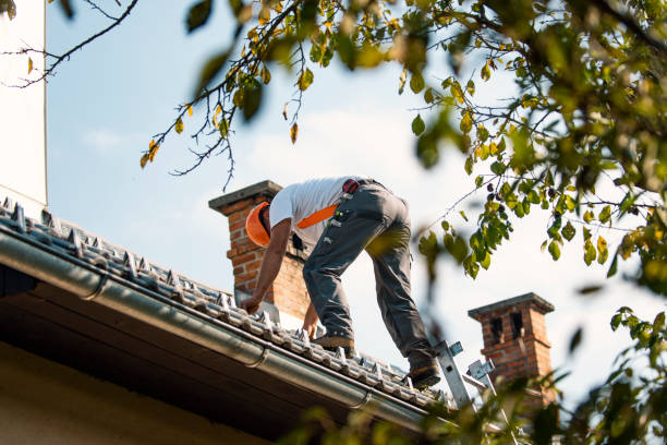 Best Flat Roof Repair Services  in Spring Grove, MN